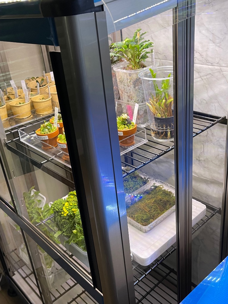 スワン商事 折りたたみ温室(屋外用) FGO-450S型 ステンカラー色 : 環境