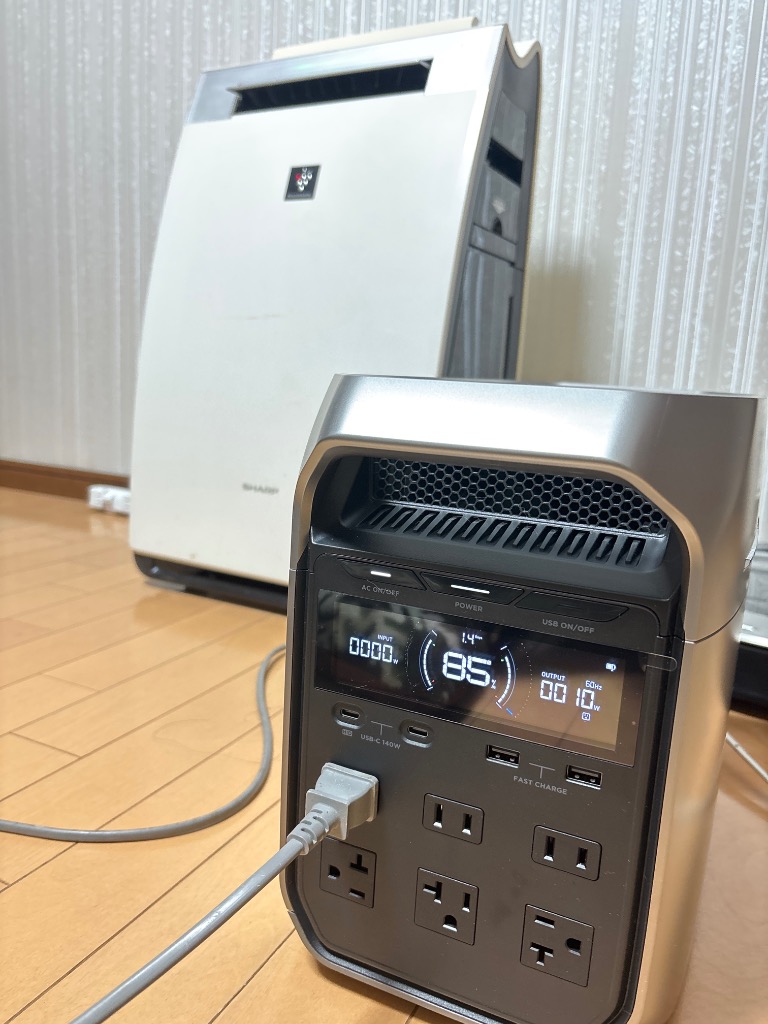 エコフロー デルタ2&125W両面ソーラーパネル&専用バッグ
