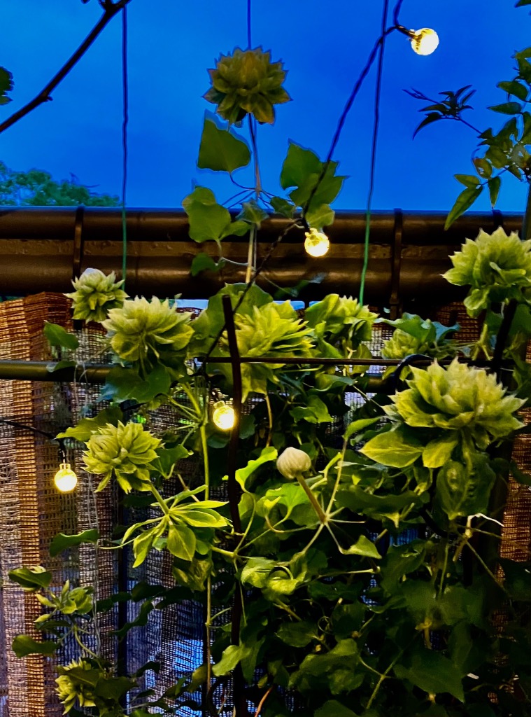 1件目のレビュー画像 | 0