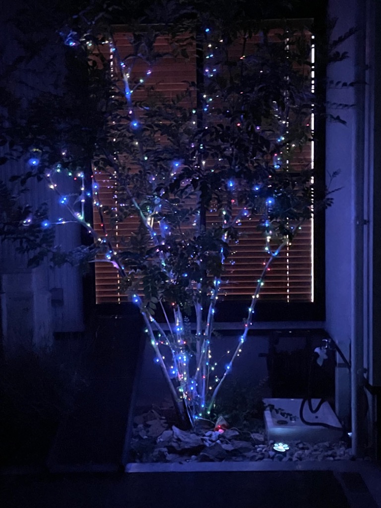 全体のレビュー画像 | 2-1