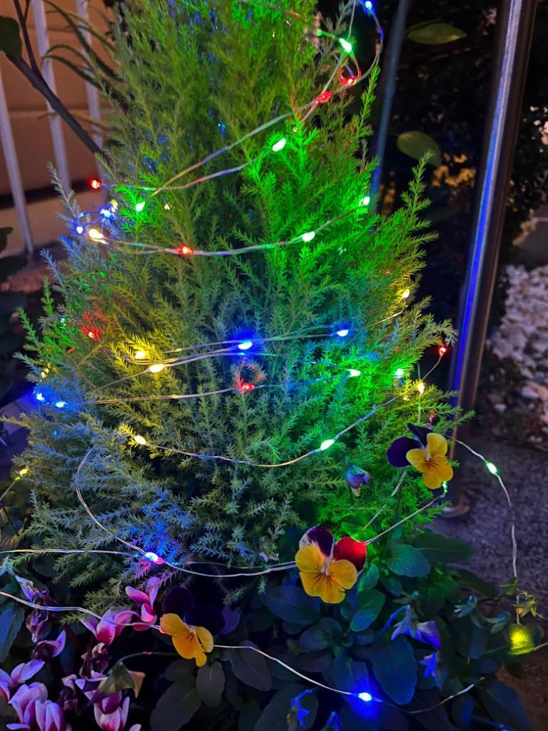 全体のレビュー画像 | 4-0