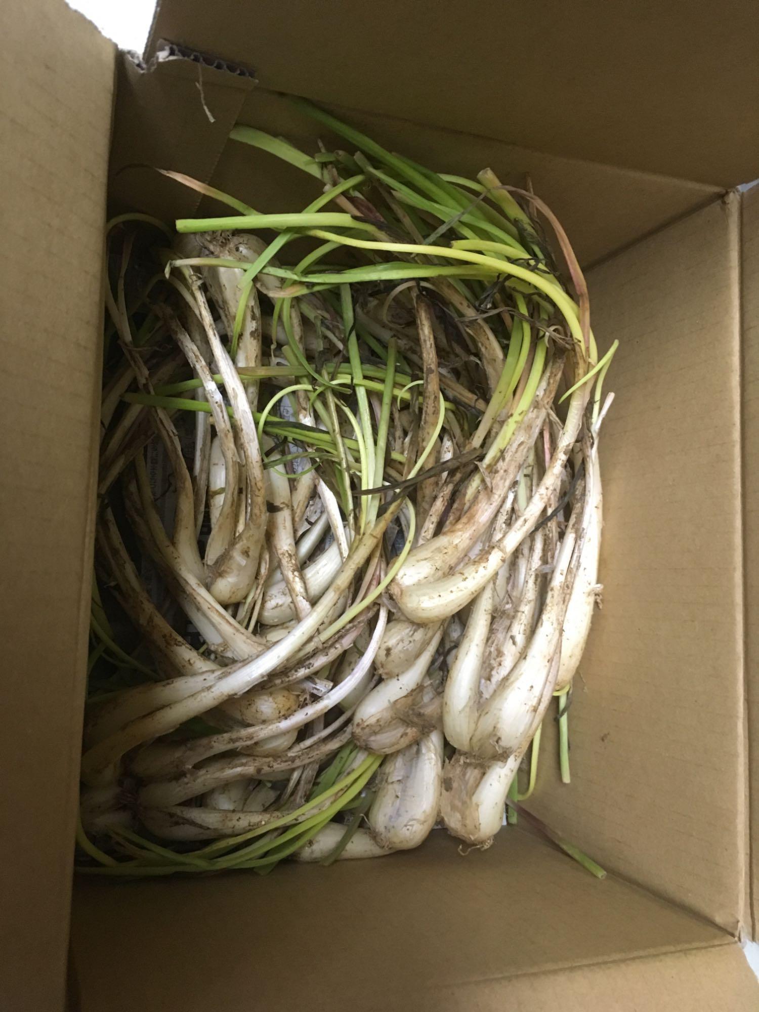 全体のレビュー画像 | 0-0