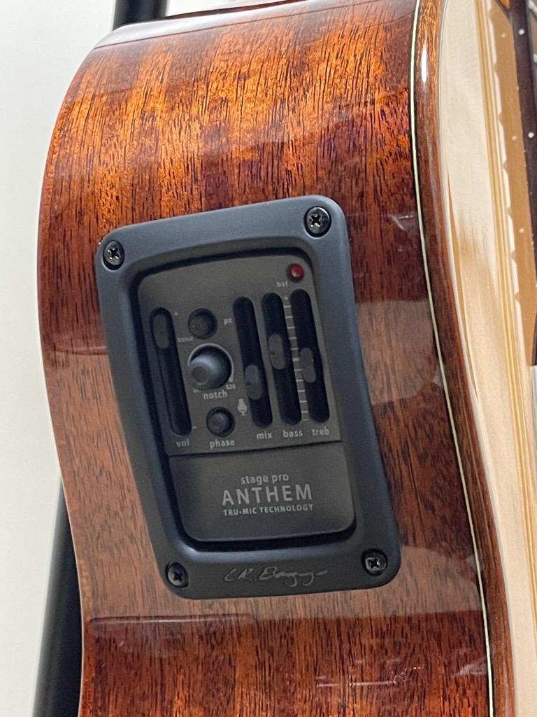 L.R.Baggs StagePro Anthem Tru-Mic Pickup System｜並行輸入品
