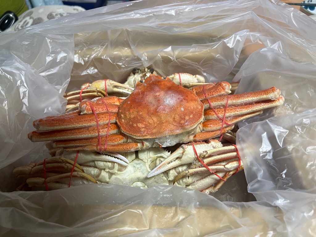 全体のレビュー画像 | 13-0