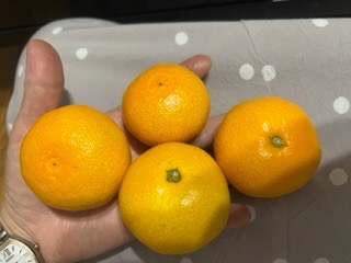 全体のレビュー画像 | 17-0