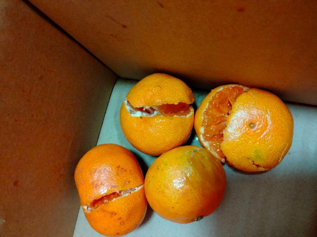 愛媛みかん 西宇和産 小玉みかん 訳あり家庭用 2.5kg ２セットで送料無料 ３セットで+2.5kg :goku-kodama-00:愛媛みかんのまるに  通販 