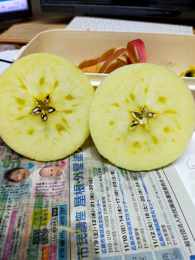 愛媛 西宇和産 伊予柑 訳あり 家庭用 10kg 送料無料 産地直送