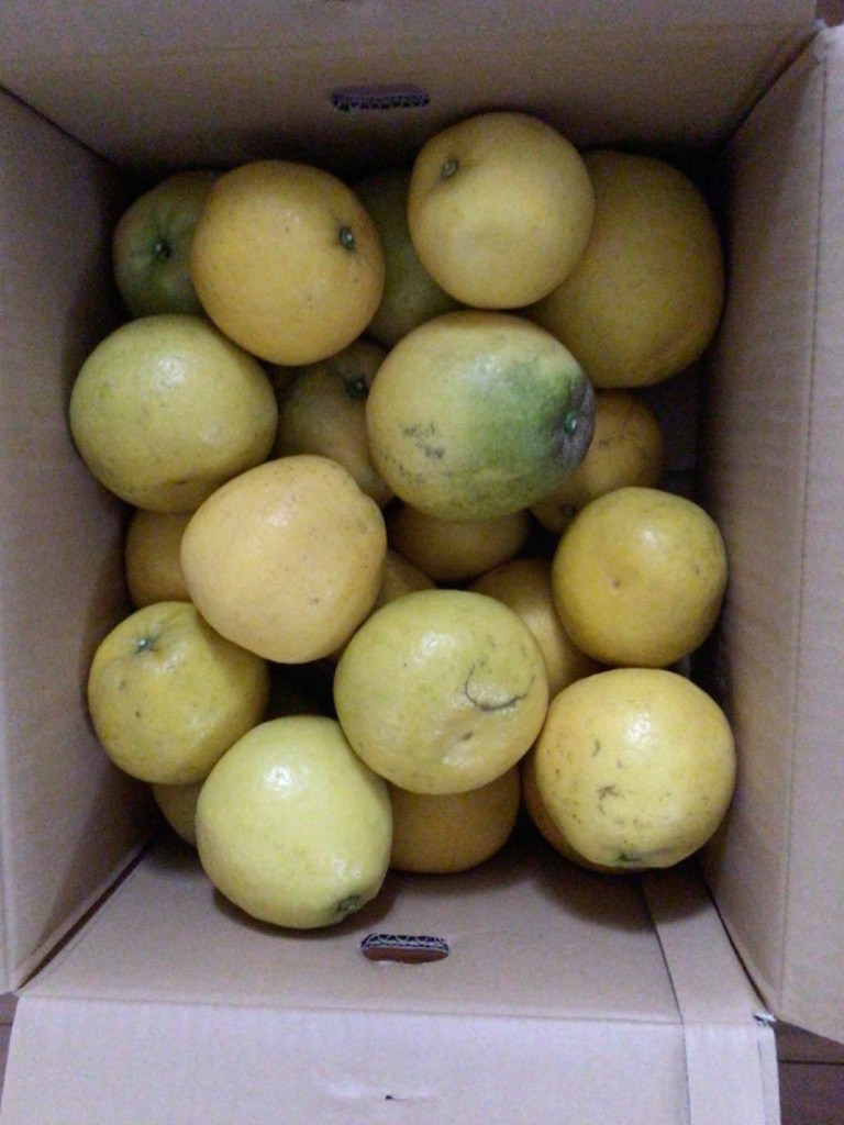 全体のレビュー画像 | 3-0