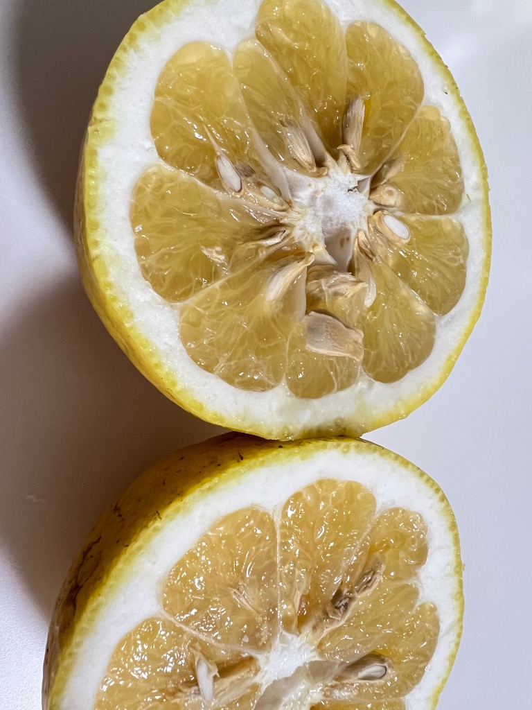 全体のレビュー画像 | 2-0