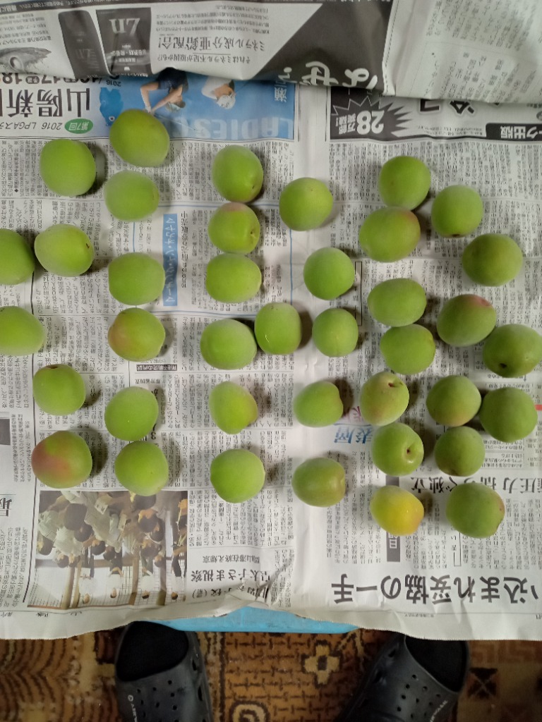 レビュー画像