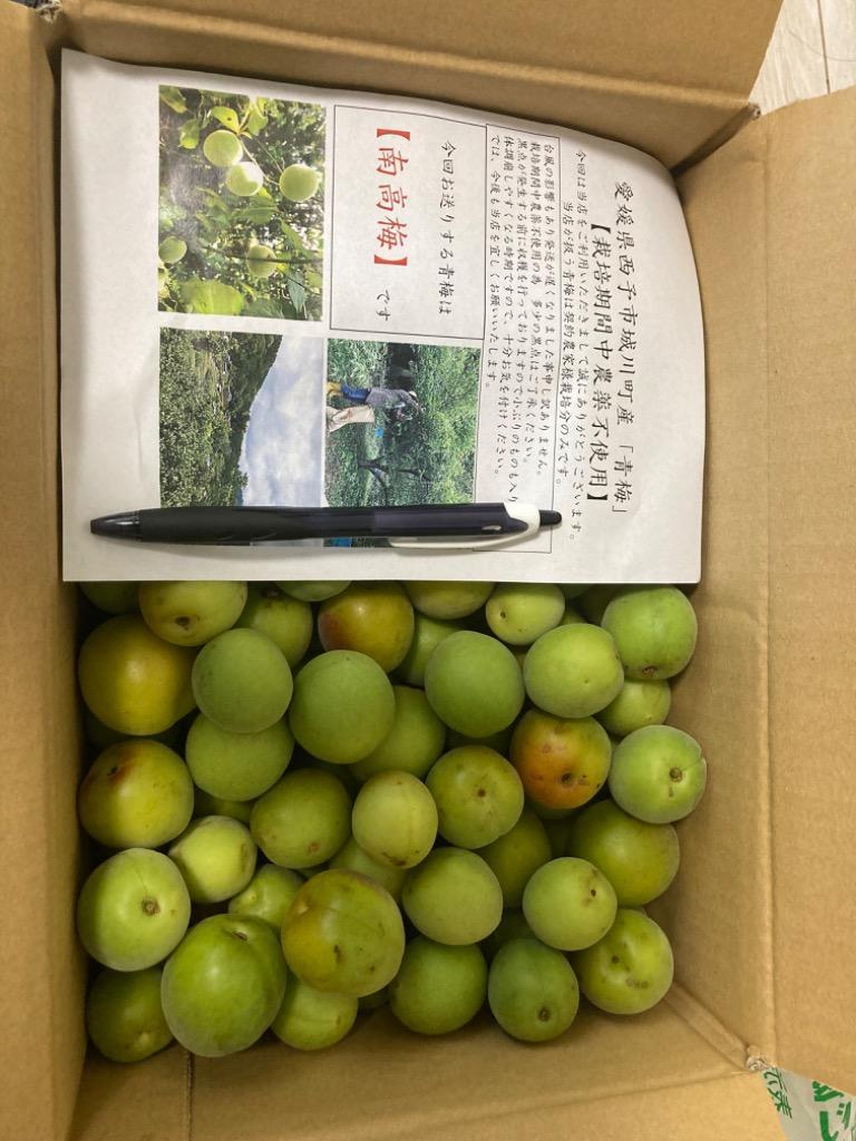 完全無農薬 青梅 5kg 完全無農薬 青梅 5kg