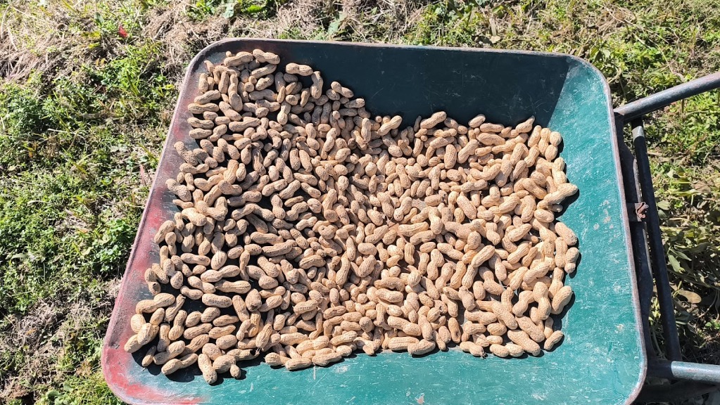 1件目のレビュー画像 | 1