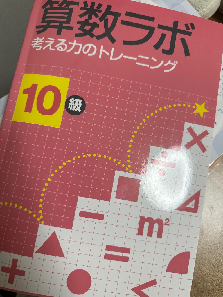 算数ラボペアセット 10級 新学社 正規販売店 算数ラボと算数ラボ