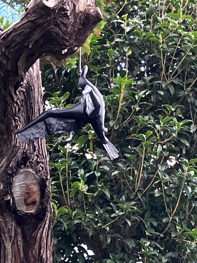 福農産業 鳥よけ カラスの黒ちゃん 大 2枚入 メール便対応（2個まで