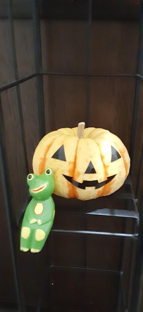 1件目のレビュー画像 | 0