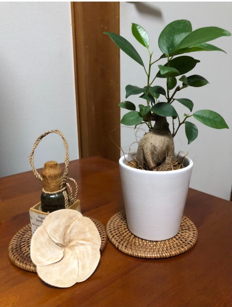 全体のレビュー画像 | 0-1