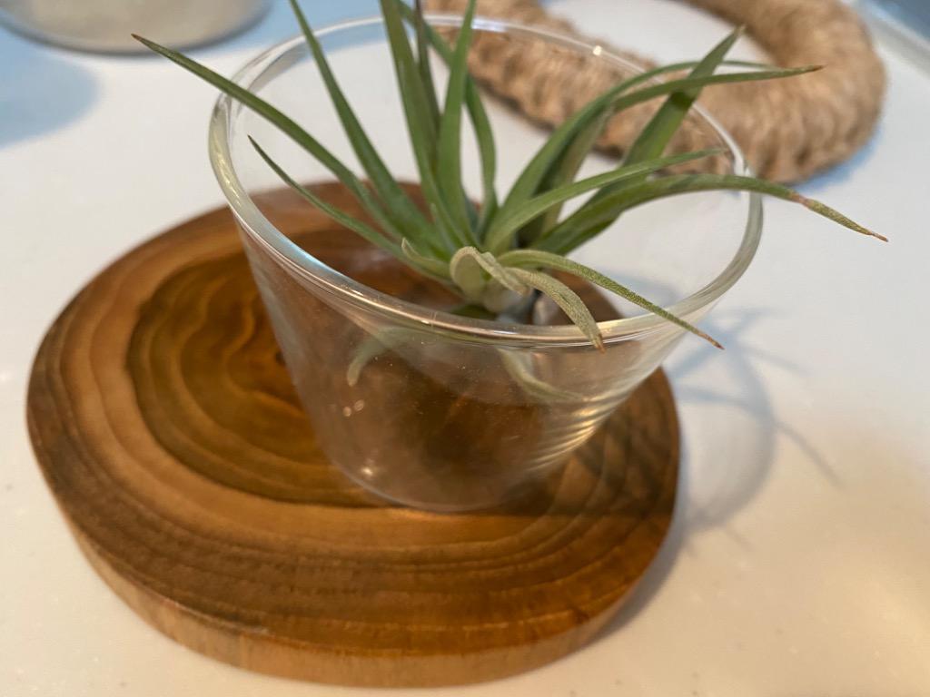 2件目のレビュー画像 | 0