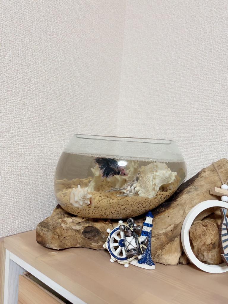 全体のレビュー画像 | 0-0