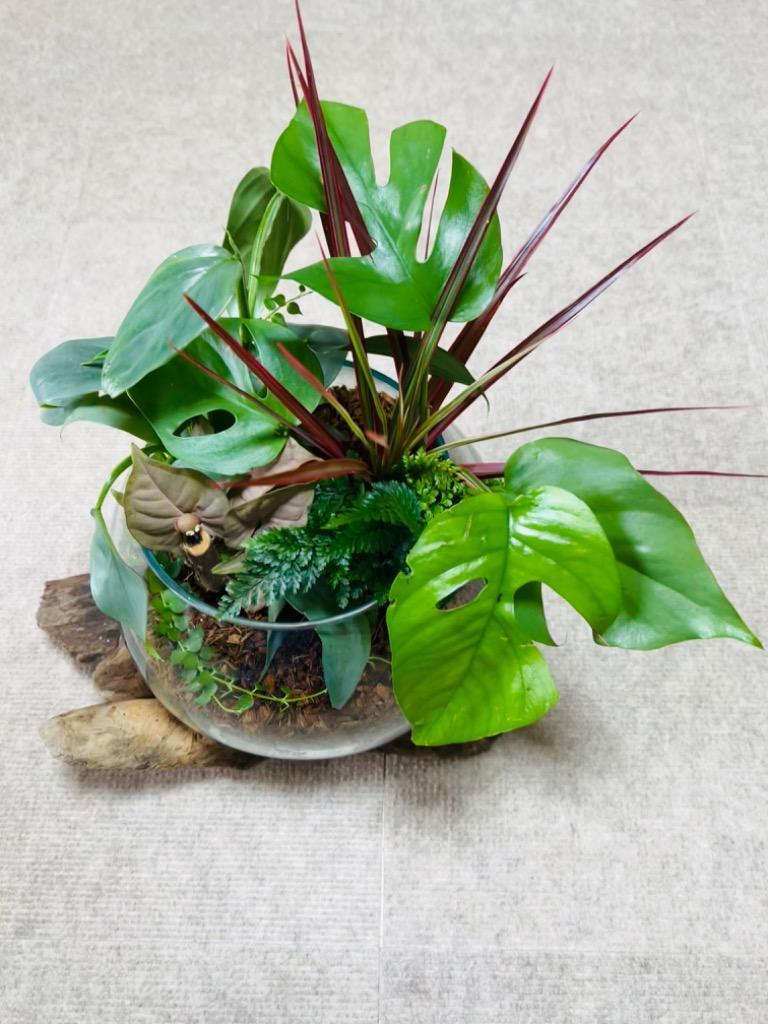 全体のレビュー画像 | 1-0