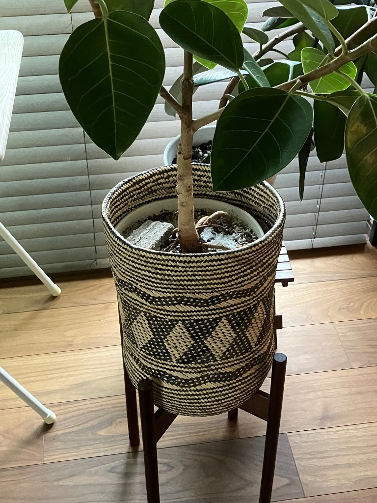 全体のレビュー画像 | 0-1