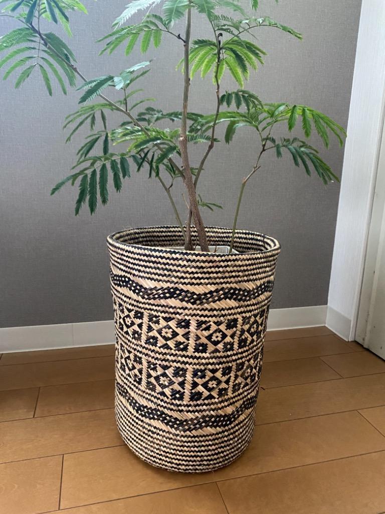 全体のレビュー画像 | 7-0