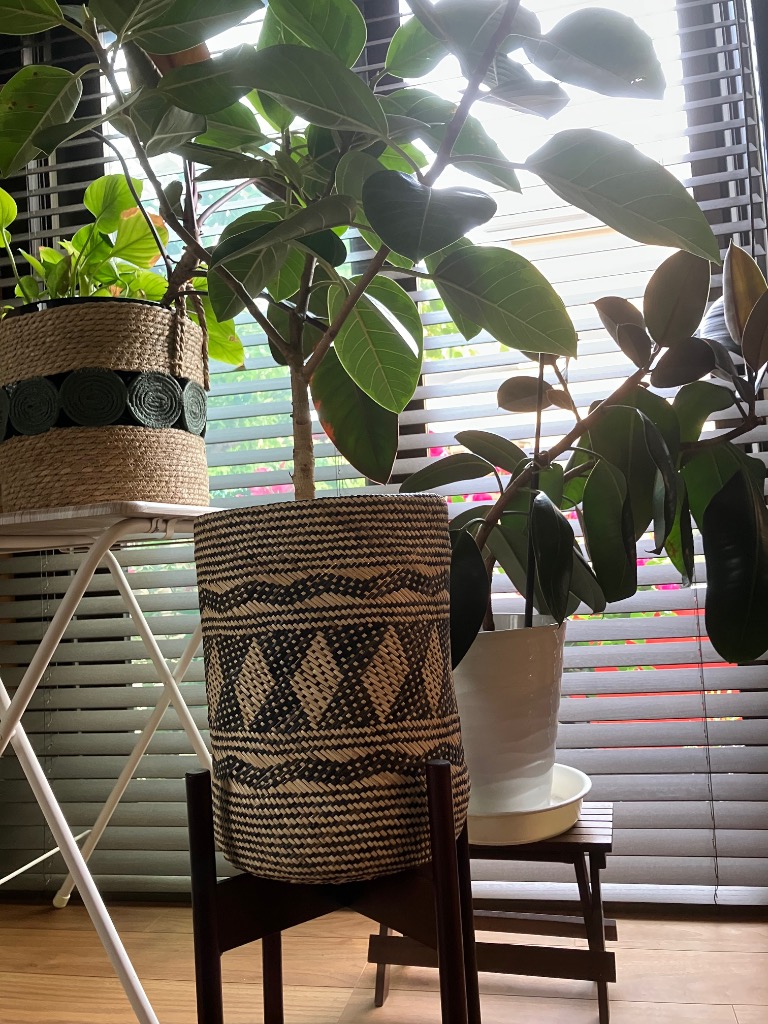 全体のレビュー画像 | 0-0