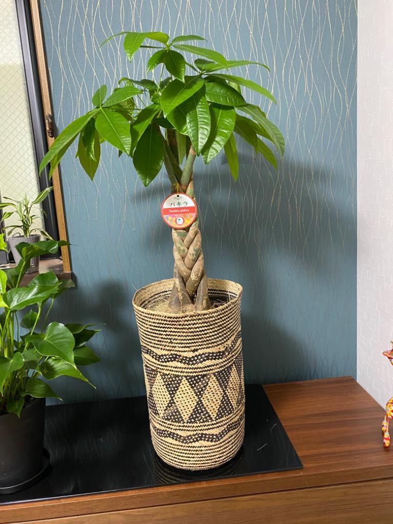 全体のレビュー画像 | 3-0