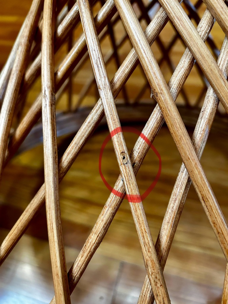 1件目のレビュー画像 | 1