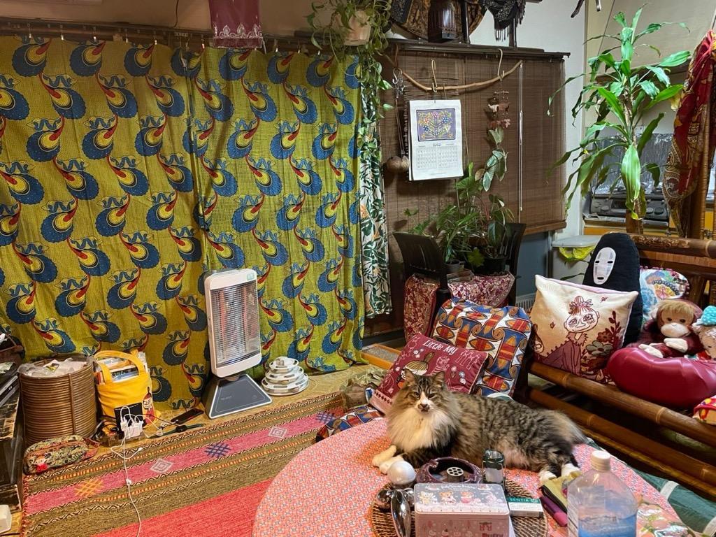 1件目のレビュー画像 | 1