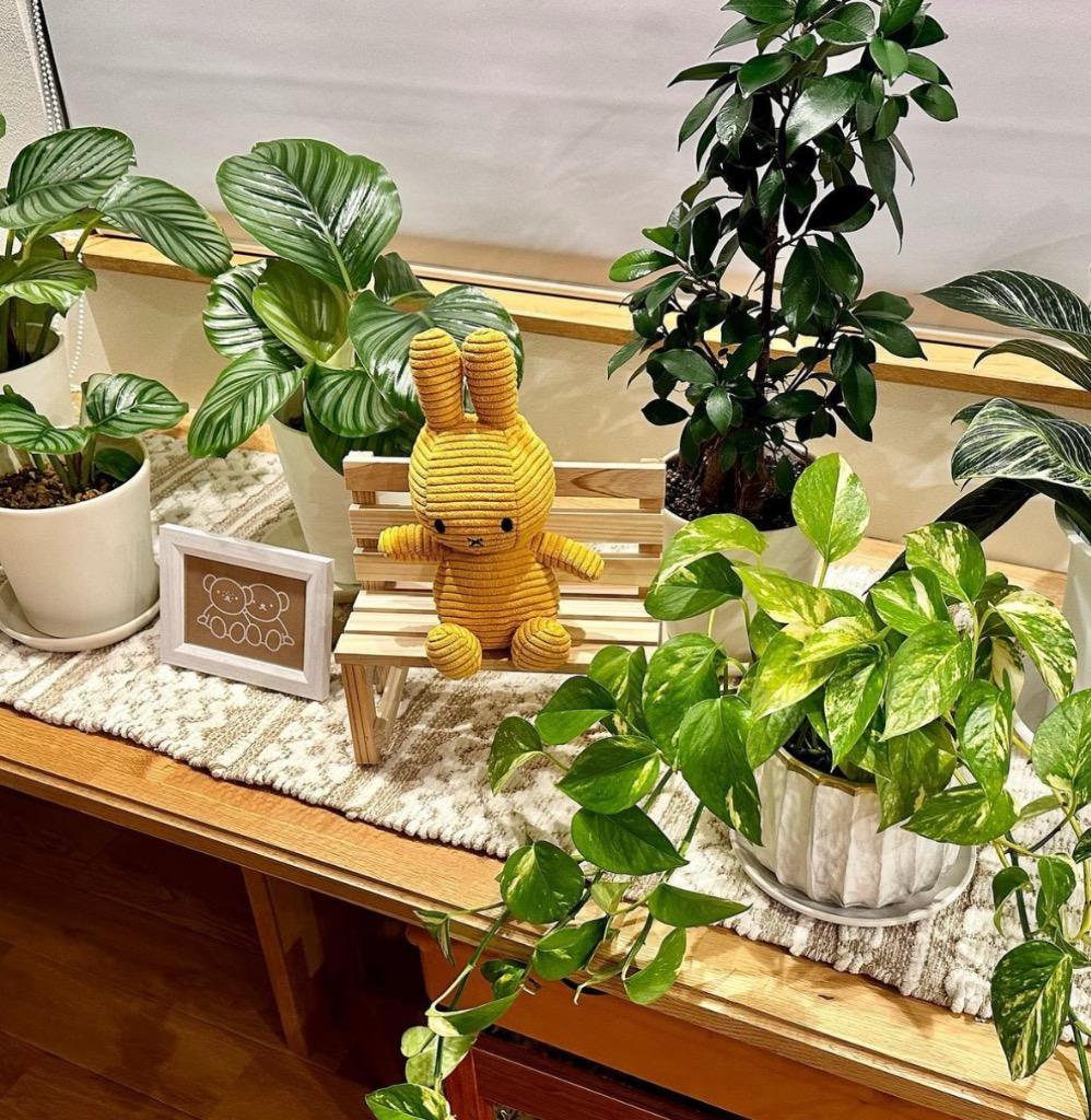 2件目のレビュー画像 | 0