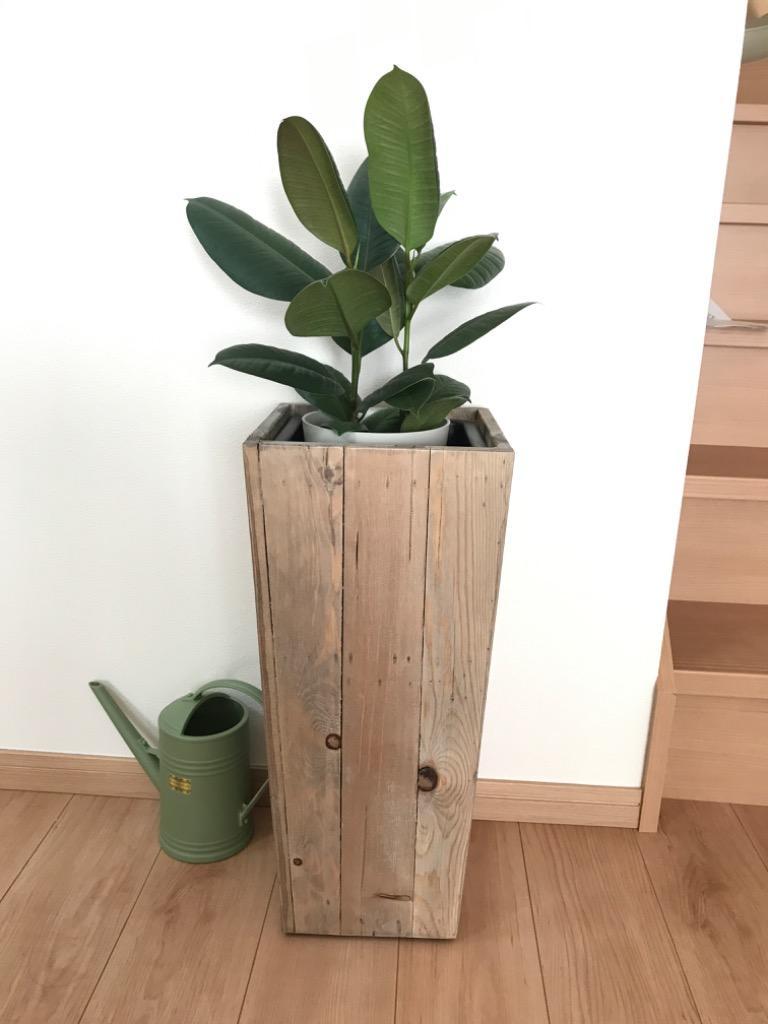 1件目のレビュー画像 | 0