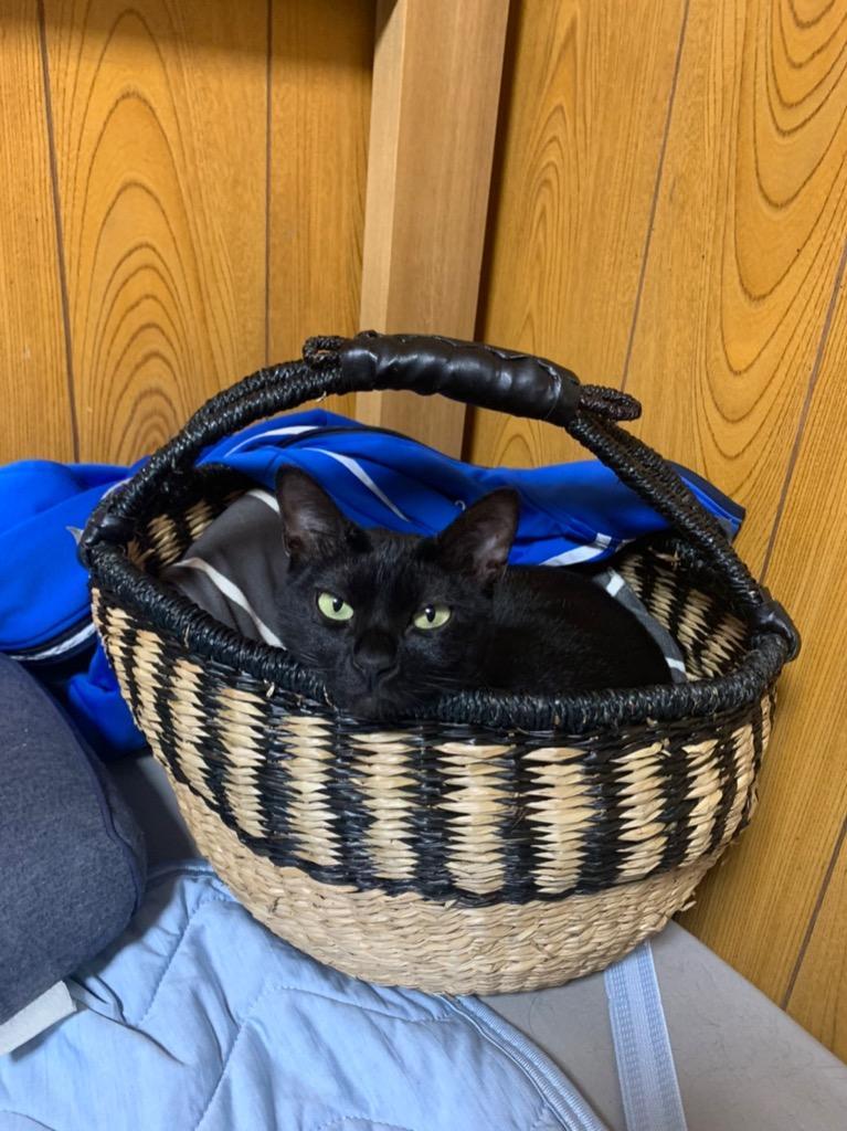 4件目のレビュー画像 | 0