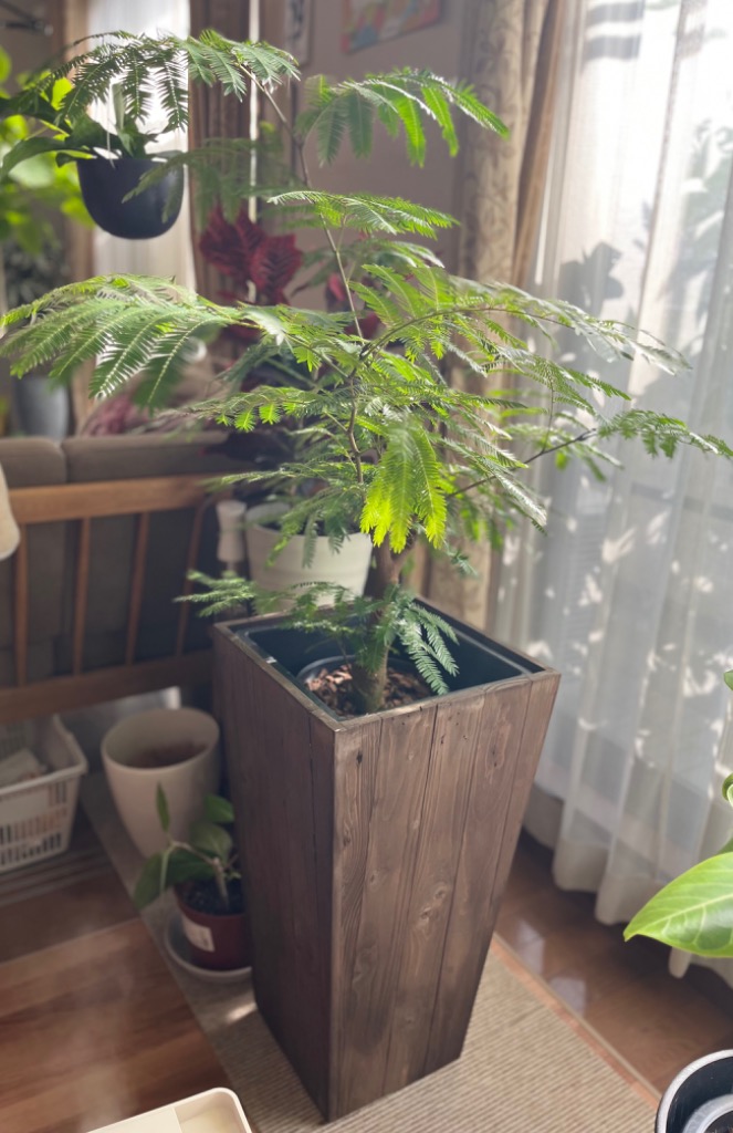 1件目のレビュー画像 | 0