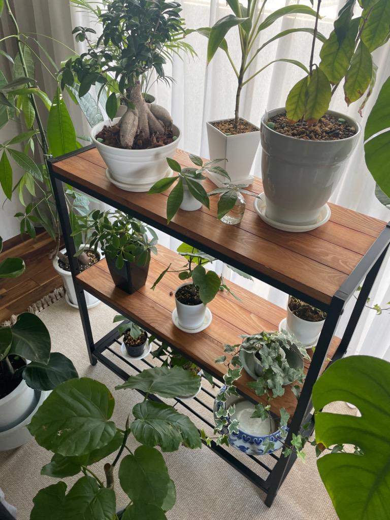 全体のレビュー画像 | 1-0