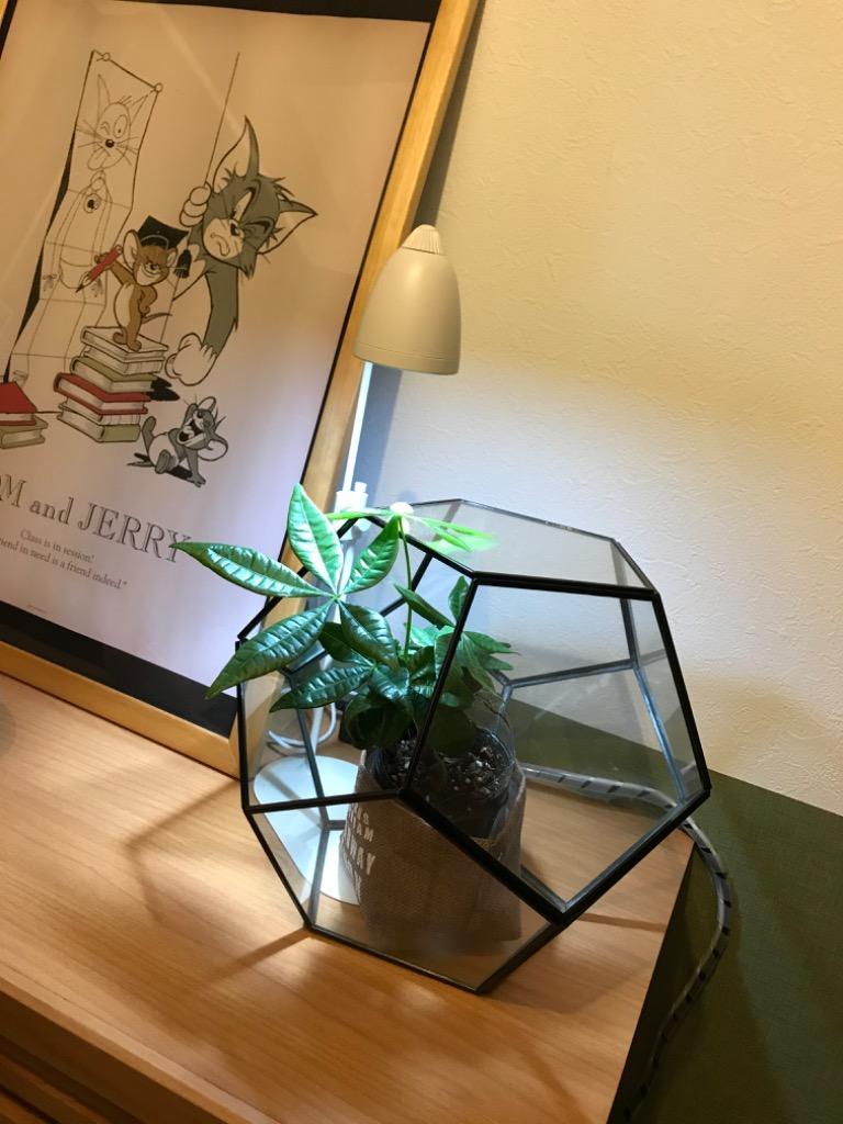 1件目のレビュー画像 | 0