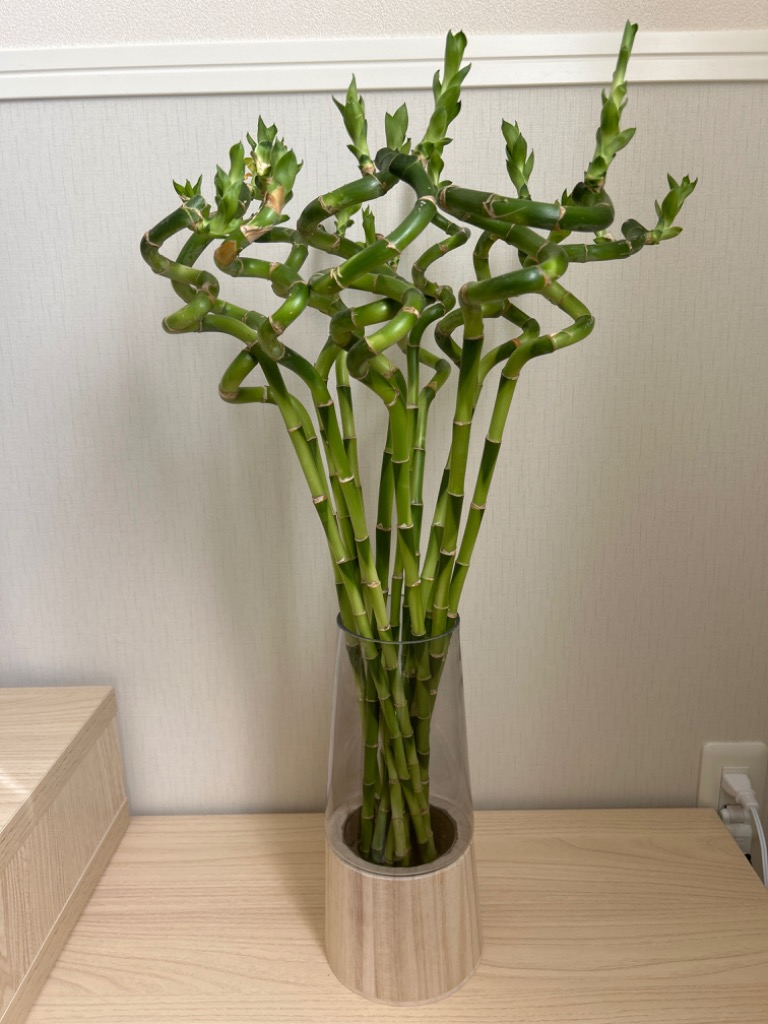 1件目のレビュー画像 | 0