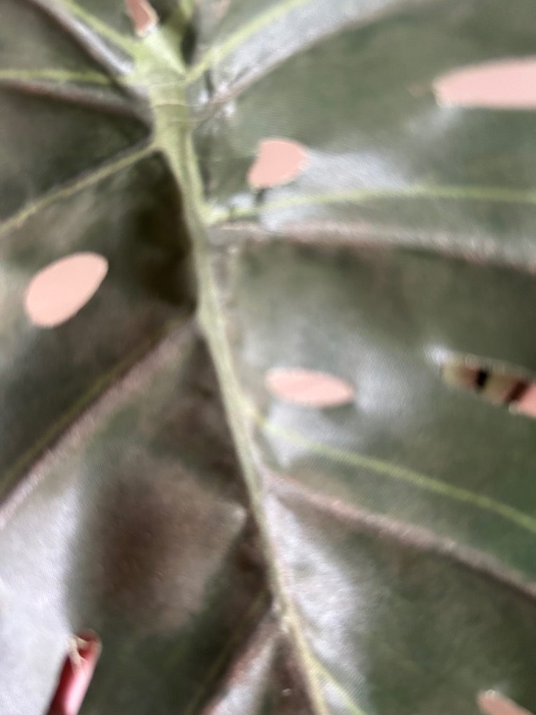 2件目のレビュー画像 | 0