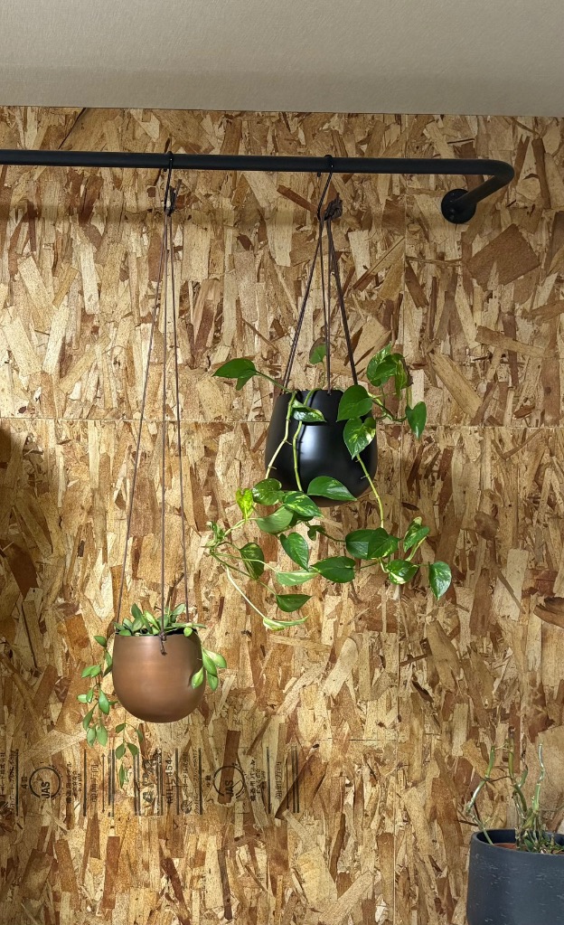 1件目のレビュー画像 | 0