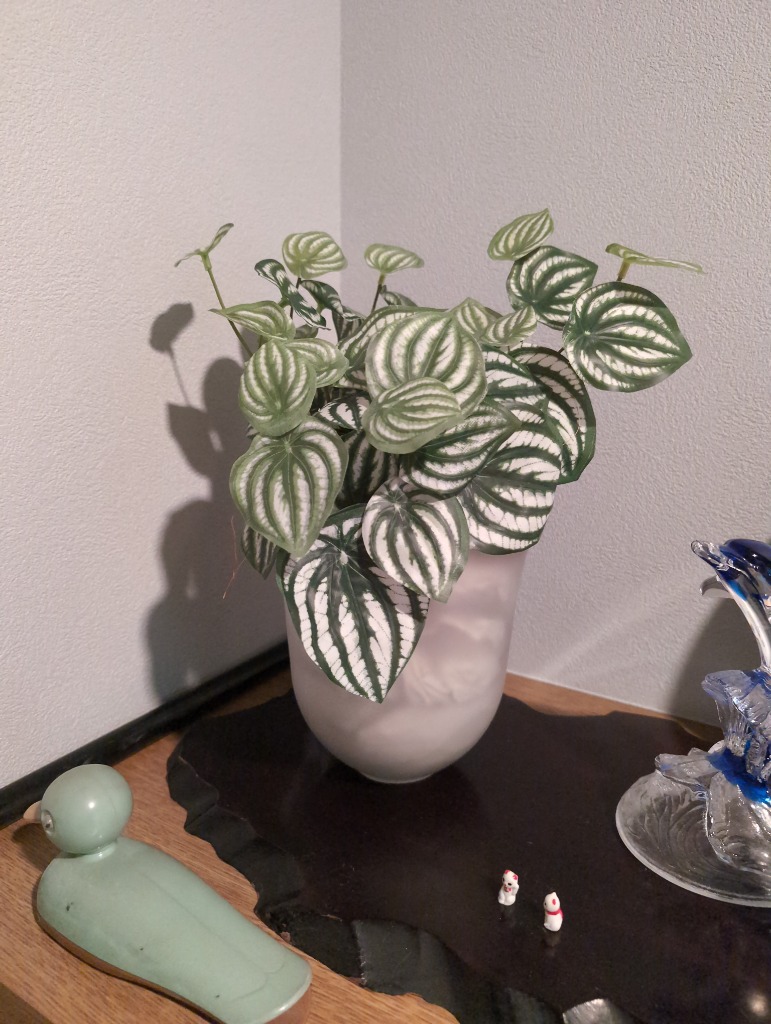 2件目のレビュー画像 | 0