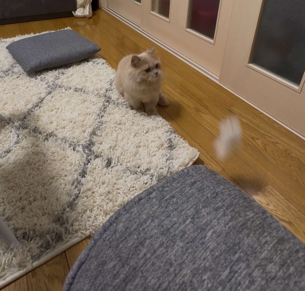 9件目のレビュー画像 | 0