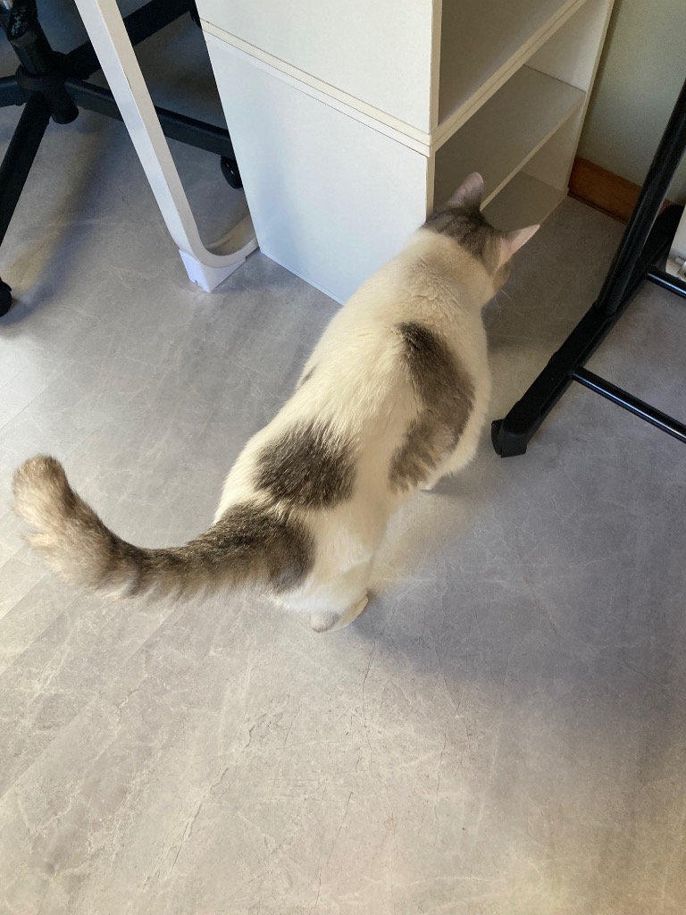 全体のレビュー画像 | 0-1