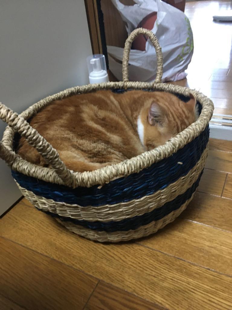 1件目のレビュー画像 | 0