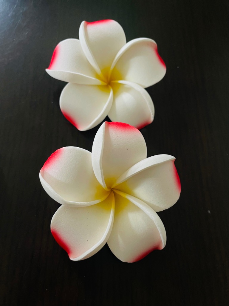 2件目のレビュー画像 | 1