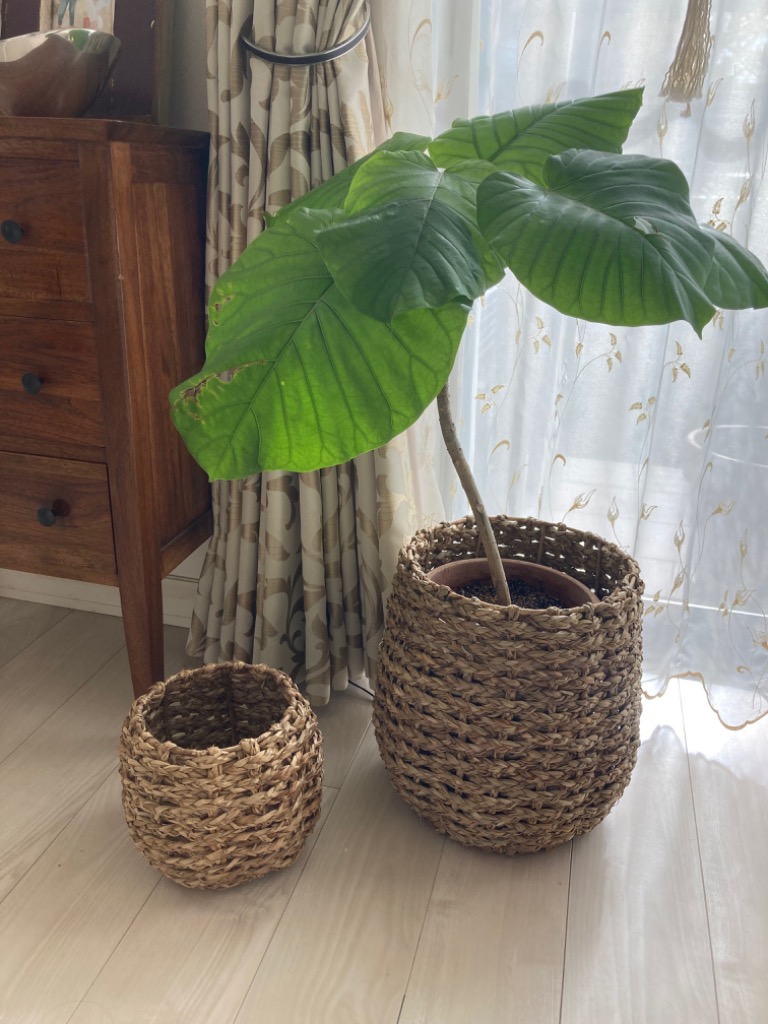 1件目のレビュー画像 | 0