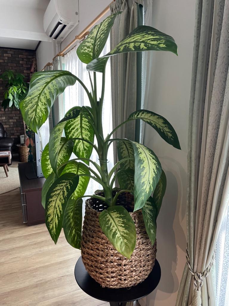 9件目のレビュー画像 | 0