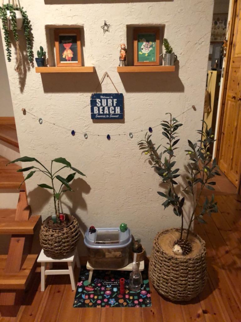 4件目のレビュー画像 | 0