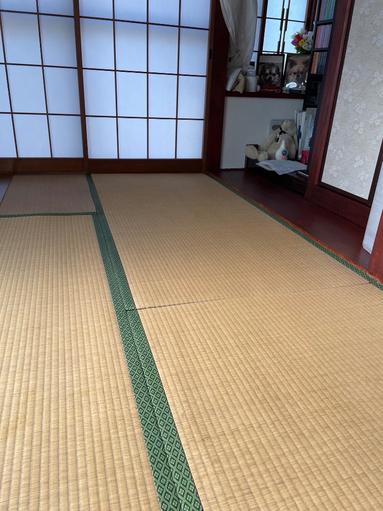 全体のレビュー画像 | 0-0