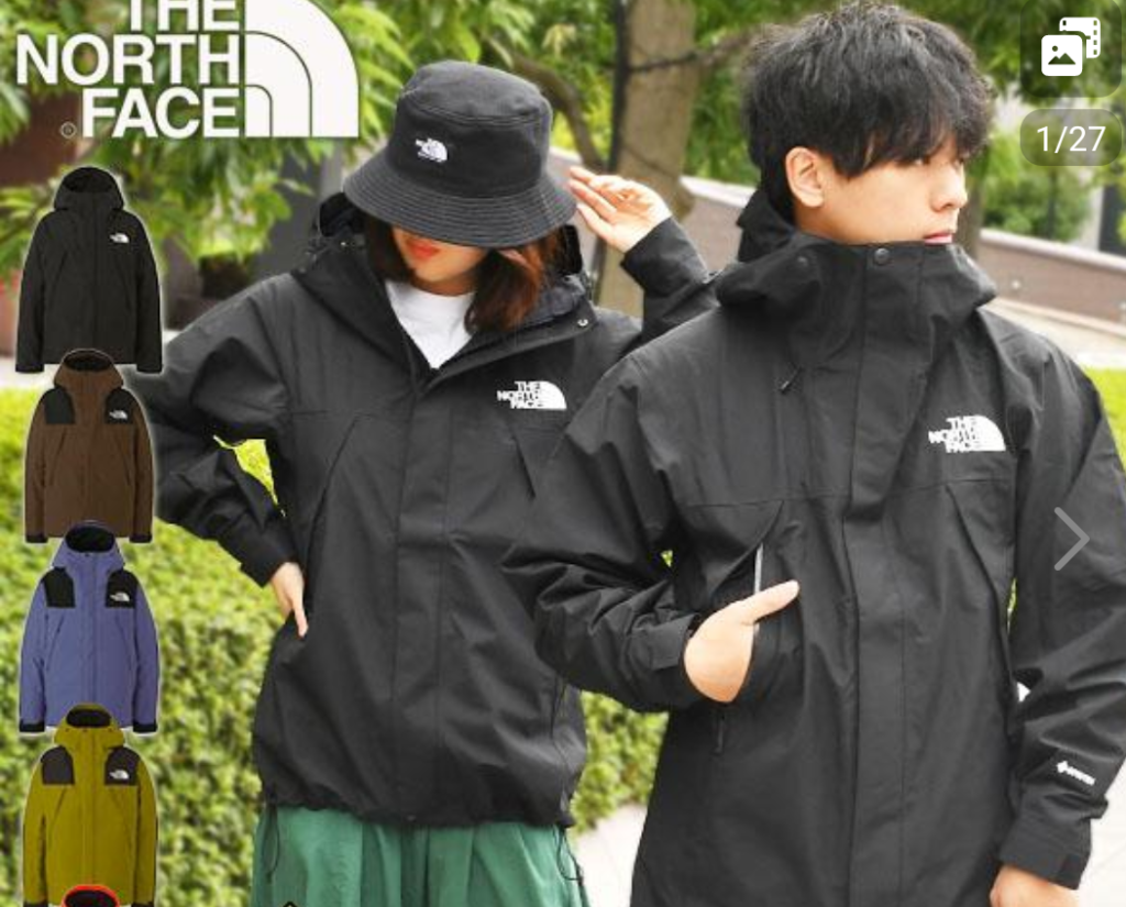 ノースフェイス ゴアテックス マウンテン ジャケット メンズ レディース THE NORTH FACE GORE-TEX アウトドア 撥水  シェルnp61800 2023秋冬新色