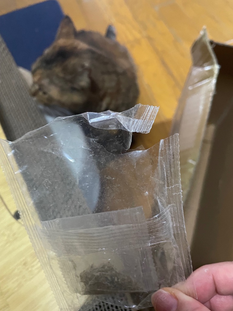 レビュー画像