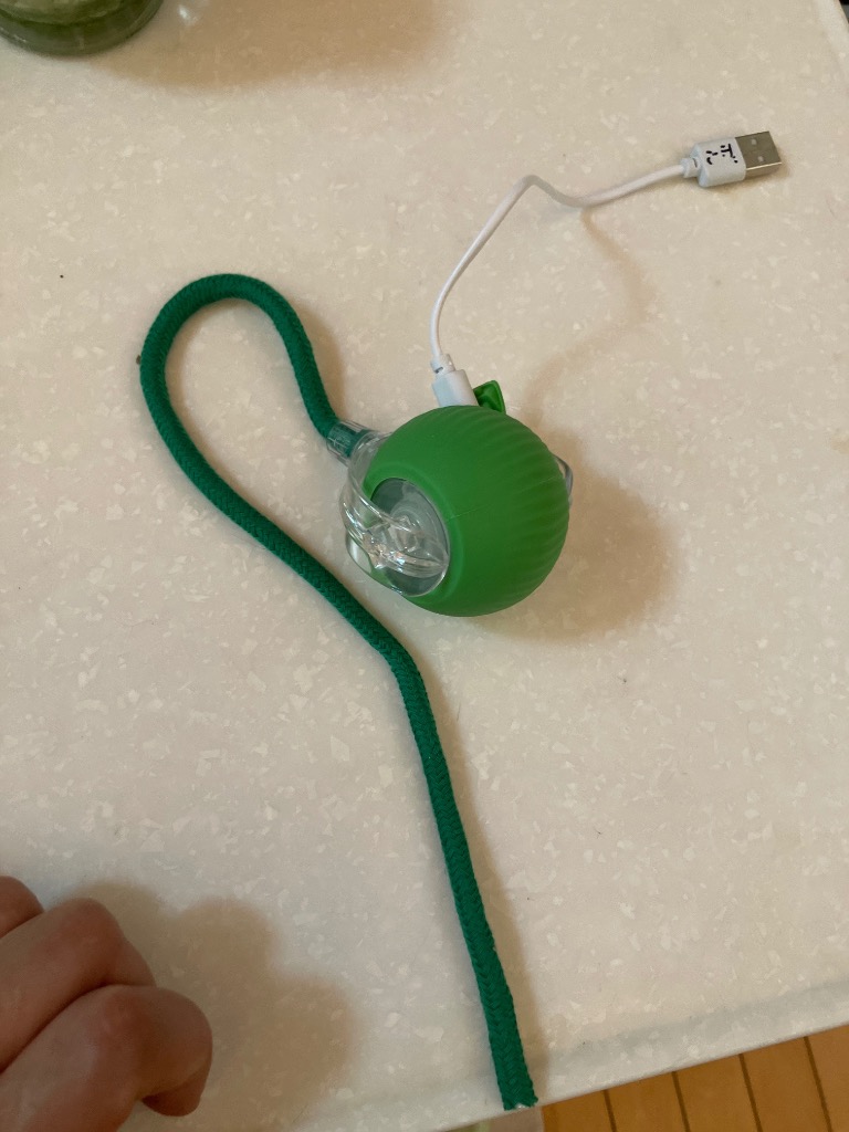 レビュー画像